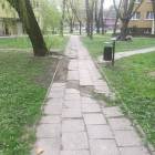zdjęcie nr 19