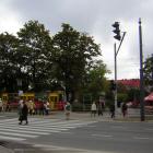 zdjęcie nr 8