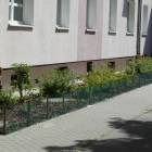 zdjęcie nr 9