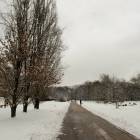zdjęcie nr 69