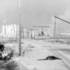 zdjęcie nr 102