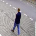 Fotka nr 1 z 3