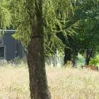 zdjęcie nr 19