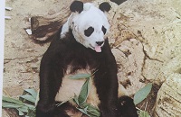 Zdjęcie: warszwa Ochota ochota tablicy iOchota