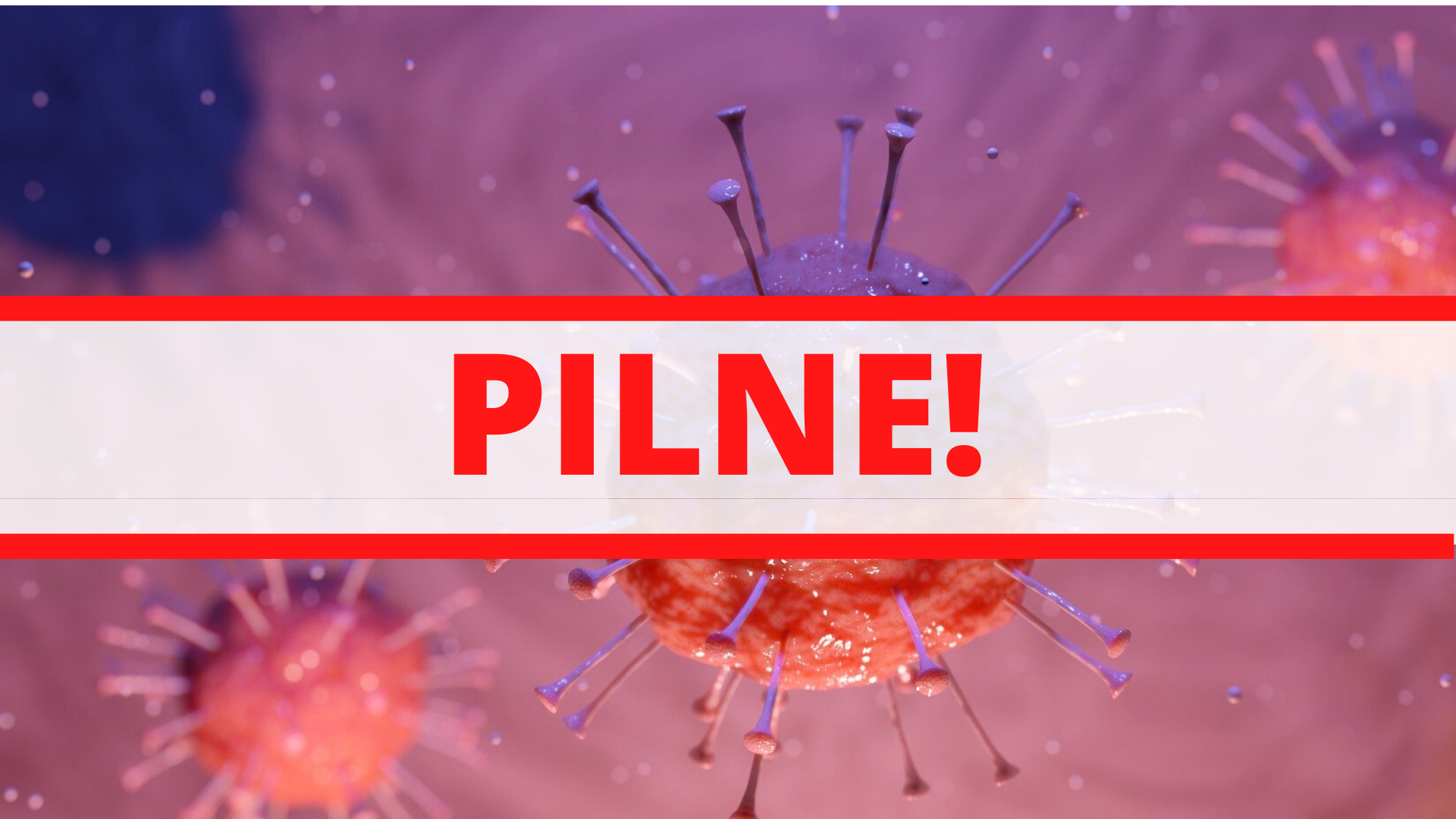 Zdjęcie: Warszawa Ochota wiadomości Informator Ochoty Włoch iOchota