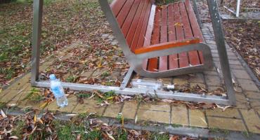 Park Zachodni w niedzielne jesienne przedpołudnie 