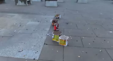 Pies przeżył, ale bałagan pozostał