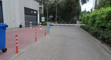 Zieleniak i jego postępy i wpadki