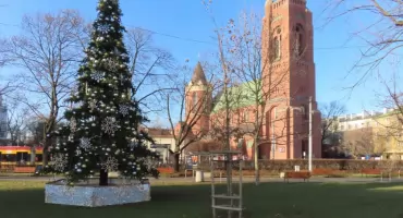 Dąb Gabriel w świątecznej szacie