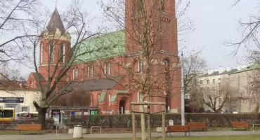 Dąb 
