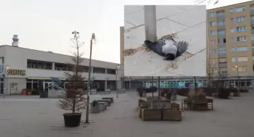 Nie ma drzewa, jest wypadek