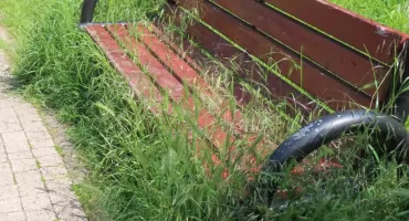 Gdzie kaczki maja pływać a ludzie siedzieć? 