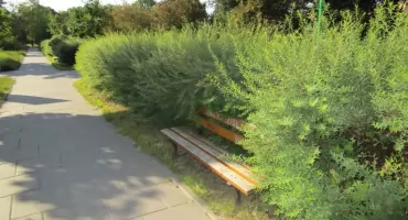 Korotyńskiego -ławki są czy nie?