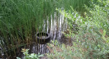 Park Malickiego - był stawik i nie ma