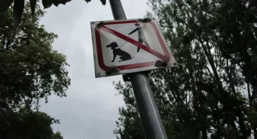 W Parku Malickiego psy mają przechlapane