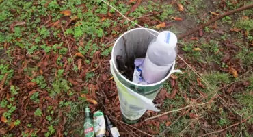 Oświetlenie w Parku Korotyńskiego