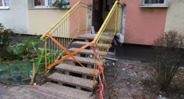 Problem Rakowca Południowego