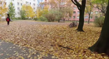 Liście zaatakowały podwórka, ulice i studzienki