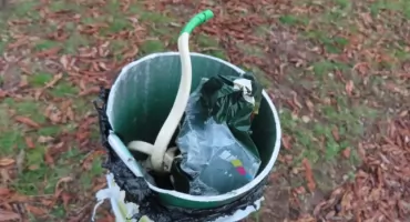 Latarnie w Parku Korotyńskiego