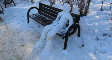 Zbliża się sezon na utylizację choinek