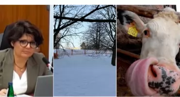 Burmistrz Justyna Glusman wspiera globalne łańcuchy dostaw