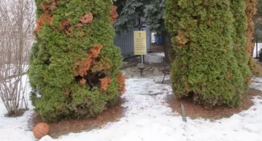 Dwa pomniki i który właściwszy