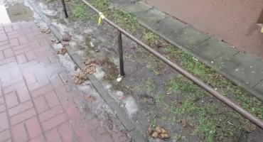 Trawniczki na wiosnę już przygotowane?