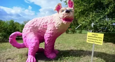 Na Ochocie wszystko ostatnio ginie