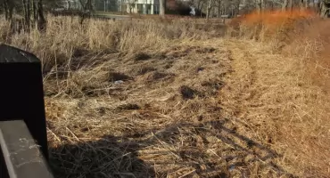 Do trzech lat sztuka