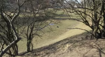 Zniszczona darń w Parku Forty Korotyńskiego