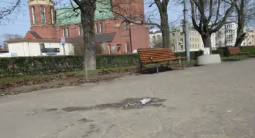 Na Placu Narutowicza  wzeszło