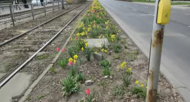 Nowy sposób nawożenia? 