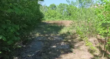 Winnicka i Ludwika Pasteura