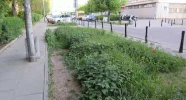 A może tak otworzyć nasze lokalne Ochockie Sanatorium