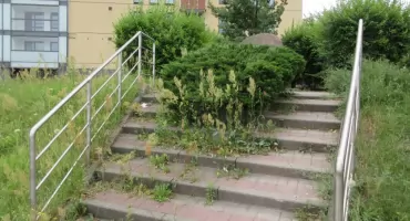 Uroczystości nie ma to i porządek niewskazany?