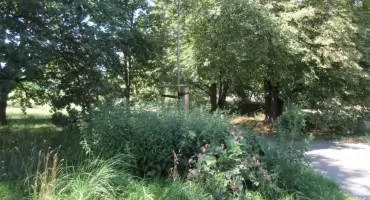Park Forty Korotyńskiego