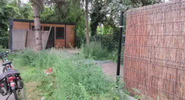Dzięki przyrodzie nastąpiły zmiany na Racławickiej