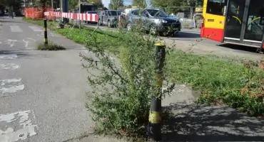 Zwiększyliśmy wydatki na utrzymanie zieleni