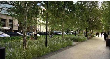 Zielona Grójecka - nowe nasadzenia na Rakowcu (nr 667)