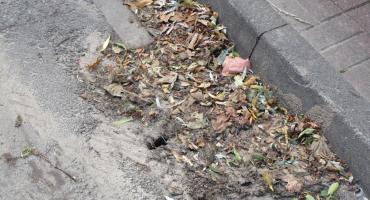 Betonoza czy psychoza?
